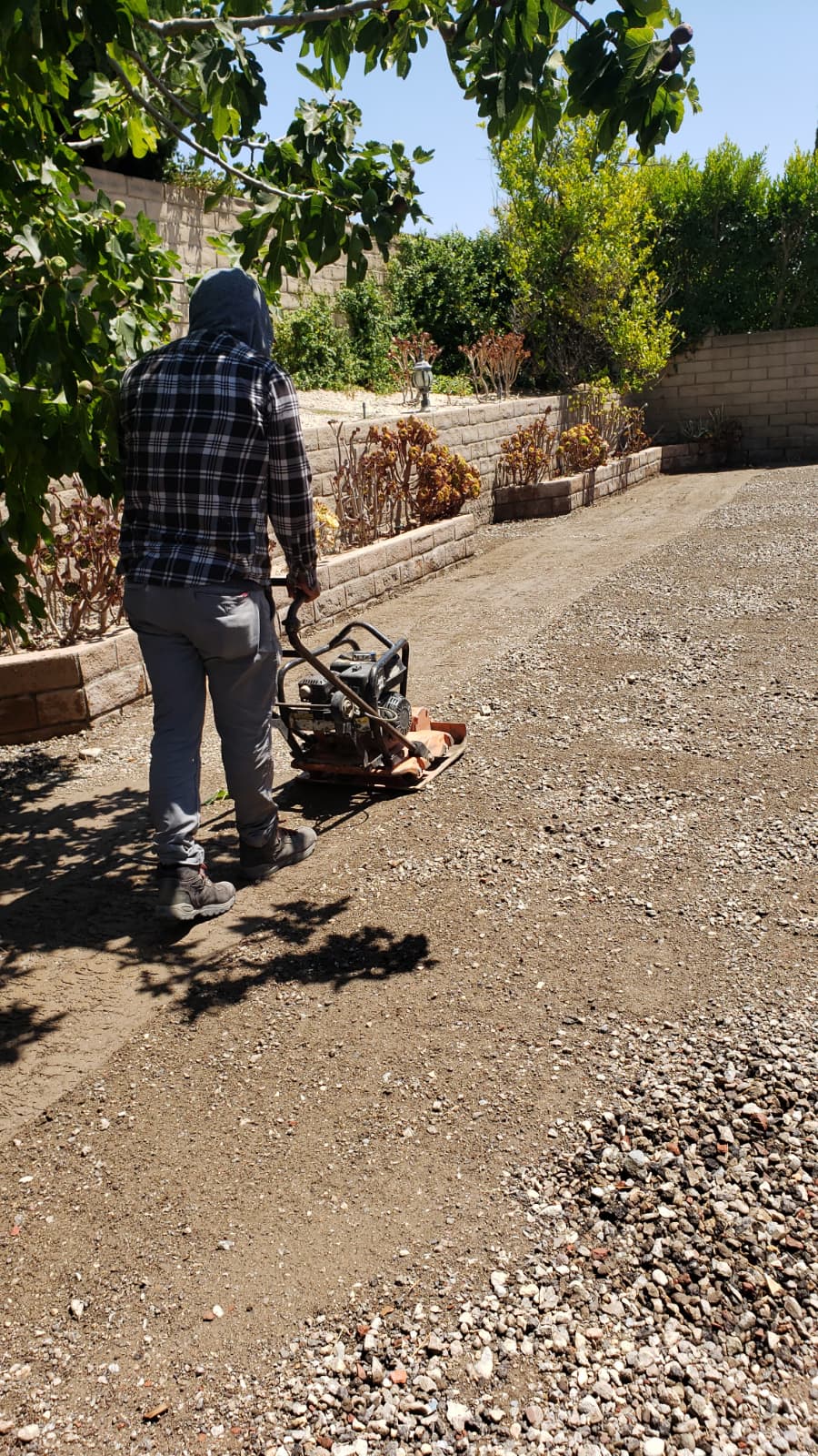 Para Artificial Grass